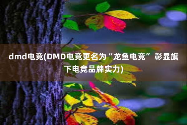 dmd电竞(DMD电竞更名为“龙鱼电竞” 彰显旗下电竞品牌实力)