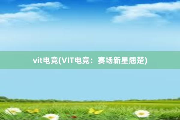 vit电竞(VIT电竞：赛场新星翘楚)