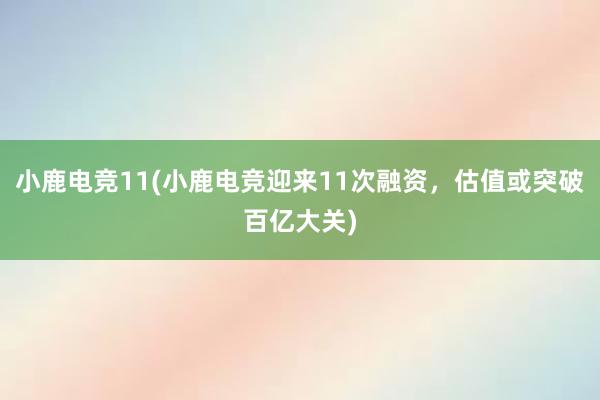 小鹿电竞11(小鹿电竞迎来11次融资，估值或突破百亿大关)