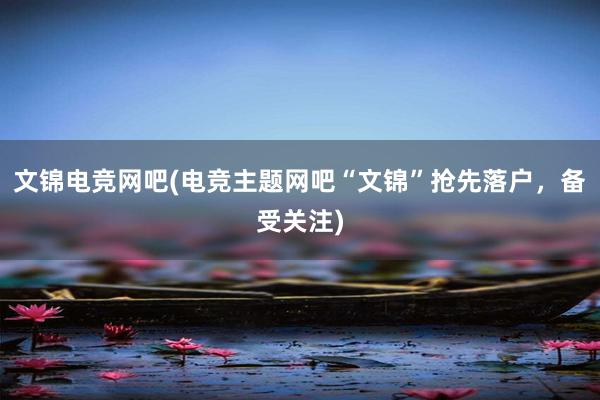 文锦电竞网吧(电竞主题网吧“文锦”抢先落户，备受关注)