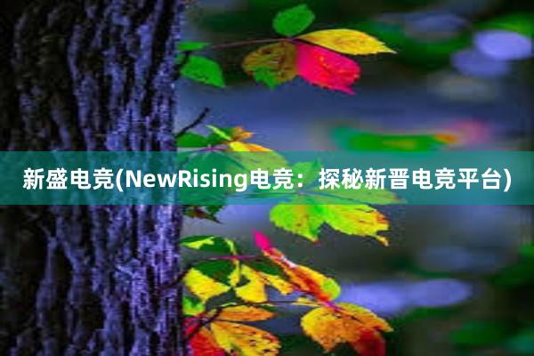 新盛电竞(NewRising电竞：探秘新晋电竞平台)