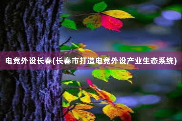 电竞外设长春(长春市打造电竞外设产业生态系统)