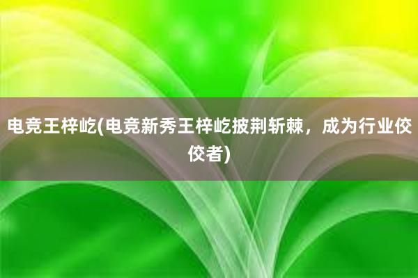 电竞王梓屹(电竞新秀王梓屹披荆斩棘，成为行业佼佼者)