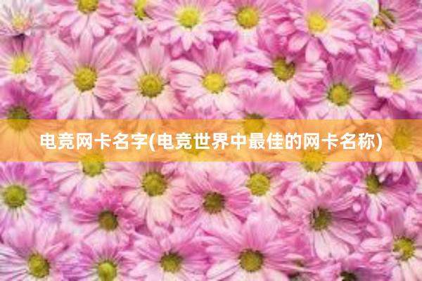 电竞网卡名字(电竞世界中最佳的网卡名称)