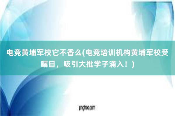 电竞黄埔军校它不香么(电竞培训机构黄埔军校受瞩目，吸引大批学子涌入！)