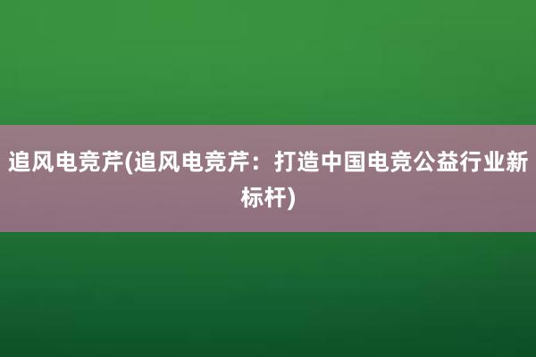 追风电竞芹(追风电竞芹：打造中国电竞公益行业新标杆)