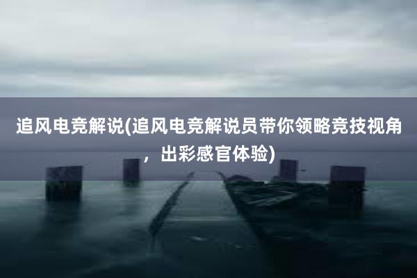 追风电竞解说(追风电竞解说员带你领略竞技视角，出彩感官体验)