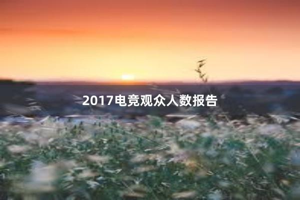 2017电竞观众人数报告