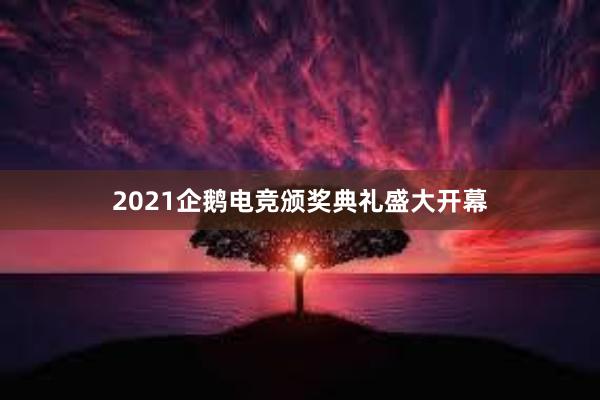 2021企鹅电竞颁奖典礼盛大开幕