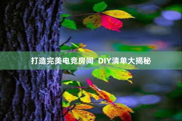 打造完美电竞房间  DIY清单大揭秘