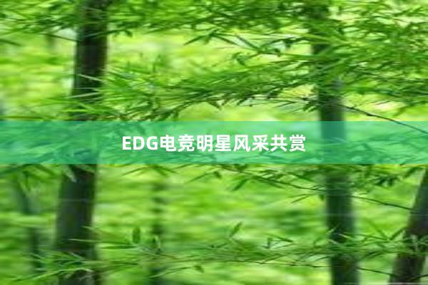 EDG电竞明星风采共赏