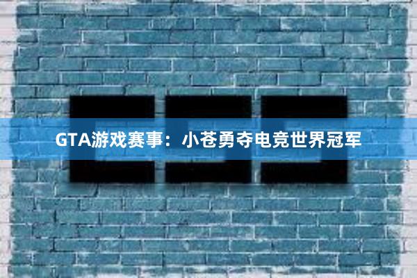 GTA游戏赛事：小苍勇夺电竞世界冠军