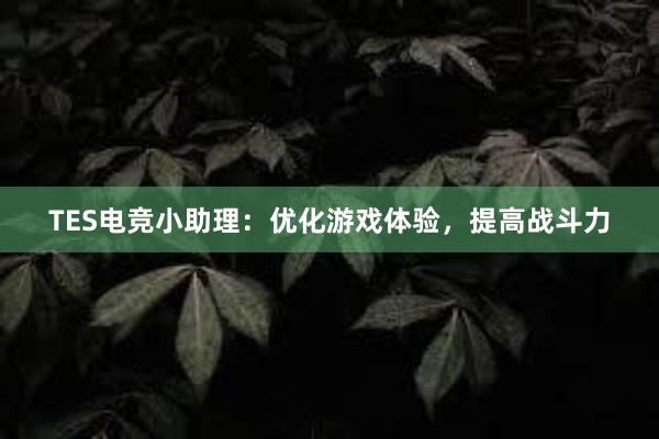 TES电竞小助理：优化游戏体验，提高战斗力