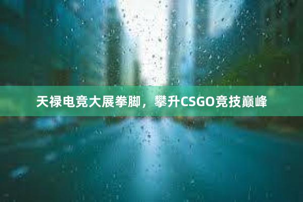 天禄电竞大展拳脚，攀升CSGO竞技巅峰