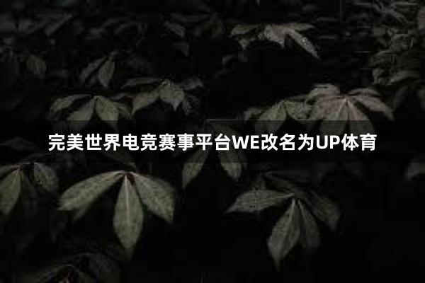 完美世界电竞赛事平台WE改名为UP体育