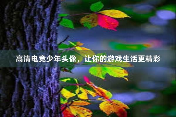 高清电竞少年头像，让你的游戏生活更精彩