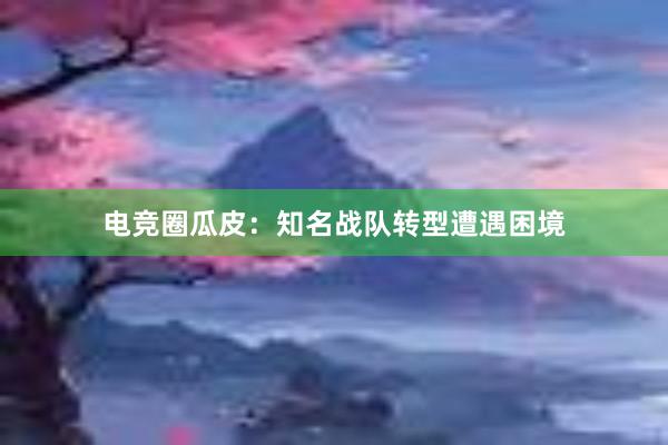 电竞圈瓜皮：知名战队转型遭遇困境