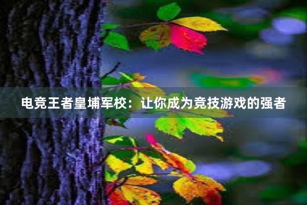 电竞王者皇埔军校：让你成为竞技游戏的强者