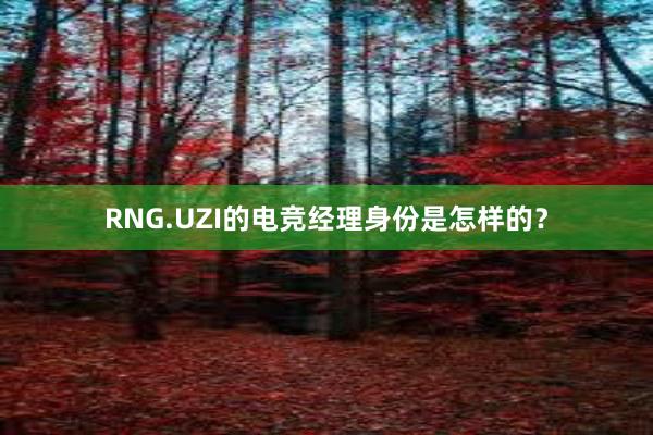 RNG.UZI的电竞经理身份是怎样的？