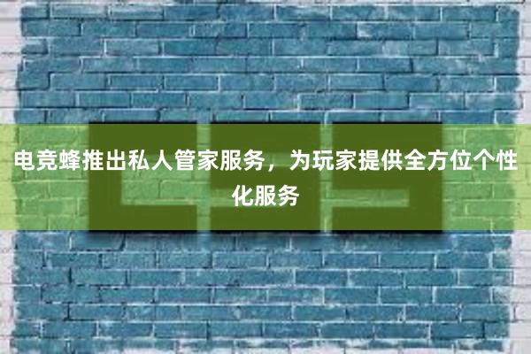 电竞蜂推出私人管家服务，为玩家提供全方位个性化服务