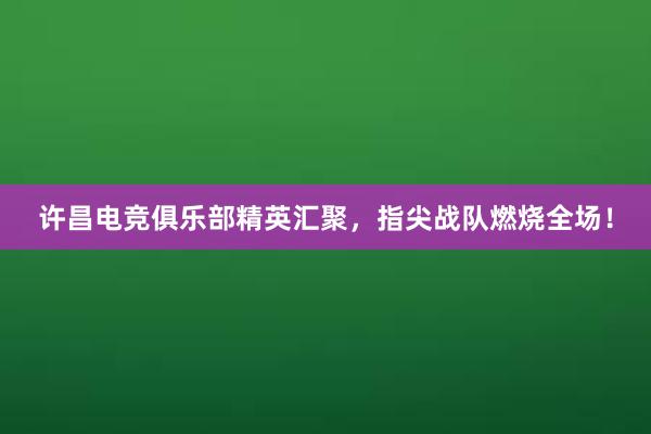 许昌电竞俱乐部精英汇聚，指尖战队燃烧全场！